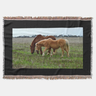 Kastanie und Palomino Foal, Decke