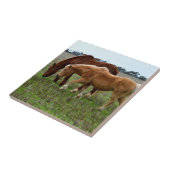 Kastanie und Palomino Foal, Fliese (Seite)