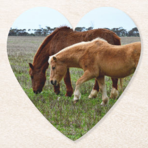 Kastanie und Palomino Foal, Untersetzer