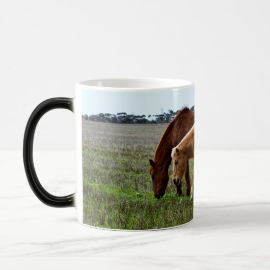 Kastanie Winterwaldpferde, Verwandlungstasse (Links)