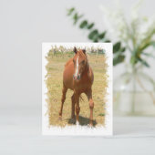 Kastanie Yearling Pferd Postkarte (Stehend Vorderseite)
