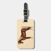 Kastanien Ägyptisches Arabianisches Pferd Flaxen M Gepäckanhänger (Vorderseite vertikal)