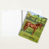 Kastanien Ägyptisches Arabianisches Pferd in Frühl Planer (Anzeige)