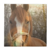 Kastanien-arabische Pferdefliese Fliese (Vorderseite)