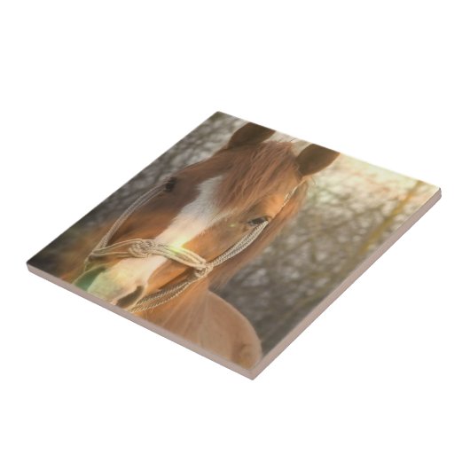 Kastanien-arabische Pferdefliese Fliese (Seite)