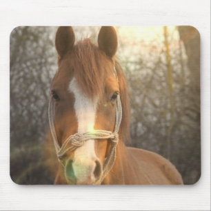 Kastanien-arabische Pferdemausunterlage Mousepad