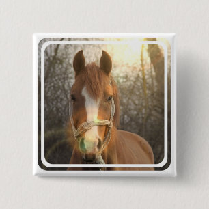 Kastanien-arabisches Pferdequadrat-Button Button