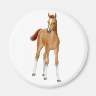 Kastanien-Fohlen-Magnet Magnet