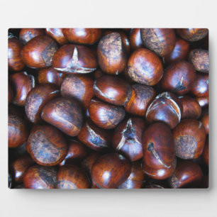 Kastanien Fotoplatte