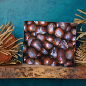 Kastanien Fotoplatte (Seite)