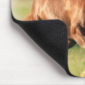Kastanien-galoppierende Pferdemausunterlage Mousepad (Ecke)