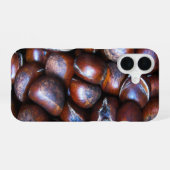 Kastanien iPhone 16 Hülle (Rückseite (Horizontal))