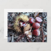 Kastanien-Karte Postkarte (Vorne/Hinten)