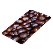 Kastanien Magnet (Linke Seite)