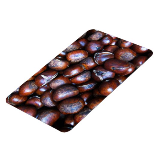 Kastanien Magnet (Linke Seite)