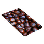 Kastanien Magnet (Rechte Seite)