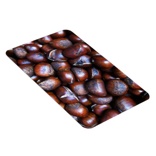 Kastanien Magnet (Rechte Seite)