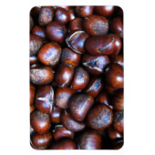 Kastanien Magnet (Vertikal)