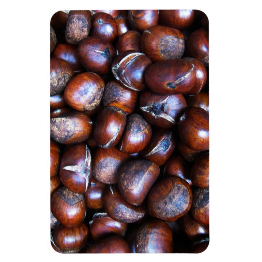 Kastanien Magnet (Vertikal)