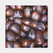 Kastanien Magnet (Vorne)