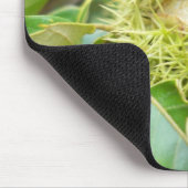 Kastanien-Mausunterlage Mousepad (Ecke)
