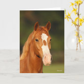 Kastanien Oldenburg Cross Welsh Headshot Karte (Gelbe Blume)