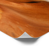 Kastanien Oldenburg Cross Welsh Headshot Poster (Ecke)