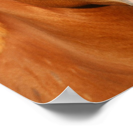 Kastanien Oldenburg Cross Welsh Headshot Poster (Ecke)