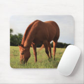 Kastanien-Pferd Mousepad (Mit Mouse)