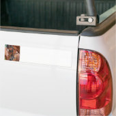 Kastanien-pferdeartiger Autoaufkleber (Auf Lkw)