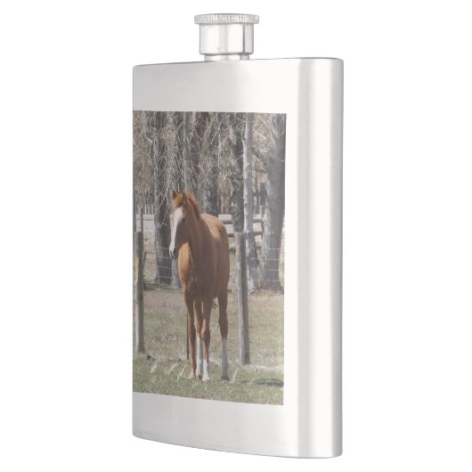 Kastanien-Pferdeflasche Flachmann (Links)