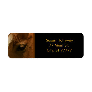 Kastanien-Pferdegefühlvolles Auge