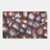 Kastanien Post-it Klebezettel (Vorderseite)