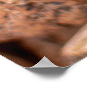 Kastanien Poster (Ecke)