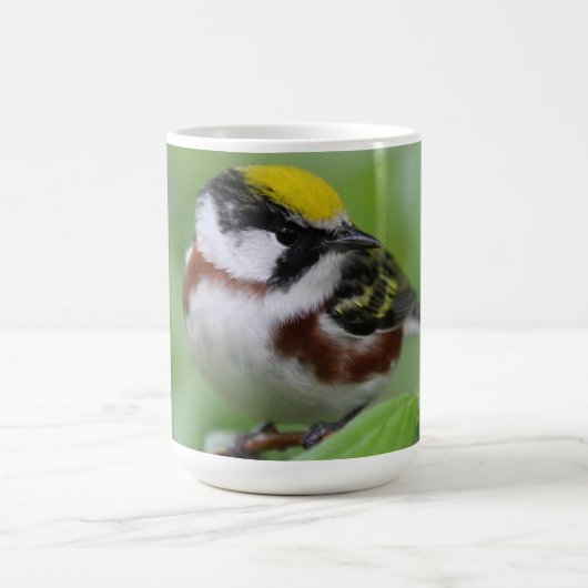 Kastanien Side Warbler Kaffeetasse (Mittel)