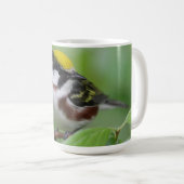 Kastanien Side Warbler Kaffeetasse (VorderseiteRechts)