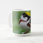 Kastanien Side Warbler Kaffeetasse (Vorderseite Links)