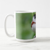Kastanien Side Warbler Kaffeetasse (Links)