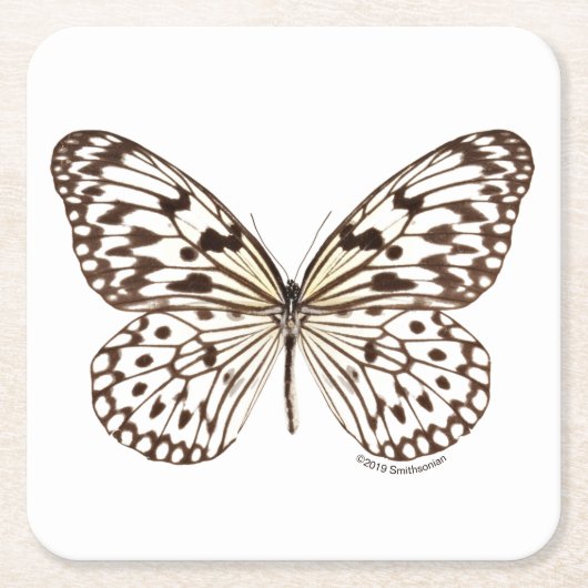 Kastanien-Tiger-Schmetterling Rechteckiger Pappuntersetzer (Vorderseite)