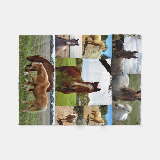 Kastanien und arabische Pferde in einer Bildergale Fleecedecke (Vorderseite (Horizontal))