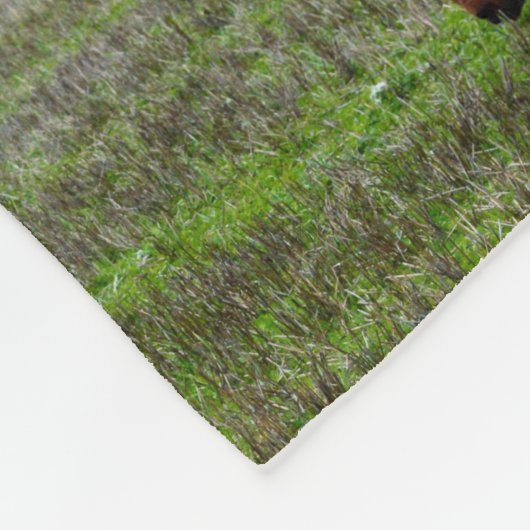 Kastanien und arabische Pferde in einer Bildergale Fleecedecke (Ecke)