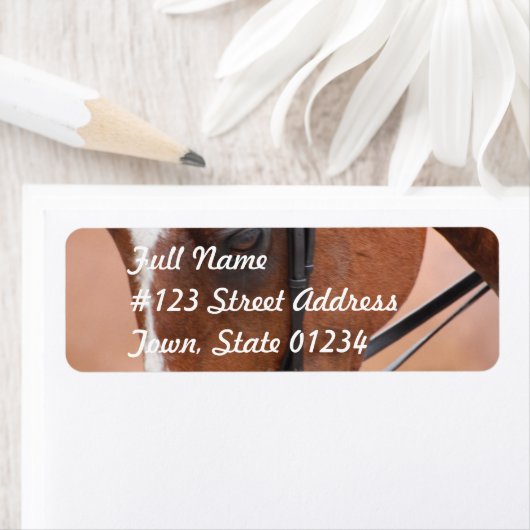 Kastanienäquivalent (Insitu)