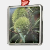 Kastanienbaum Ornament Aus Metall (Links)
