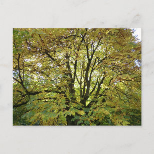 Kastanienbaum Postkarte