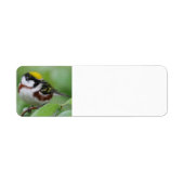 Kastanienbraun (Vorne)