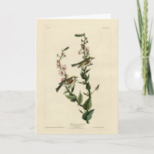 Kastanienbraun, Audubons Vögel von Amerika Karte