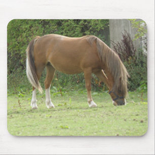 Kastanienbraun Pferdeweide Mousepad