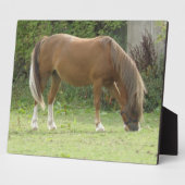 Kastanienbraun Pferdeweide Plaque Fotoplatte (Seite)