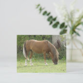 Kastanienbraun Pferdeweiden Postkarte (Stehend Vorderseite)