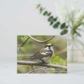 Kastanienbraun Postkarte (Stehend Vorderseite)